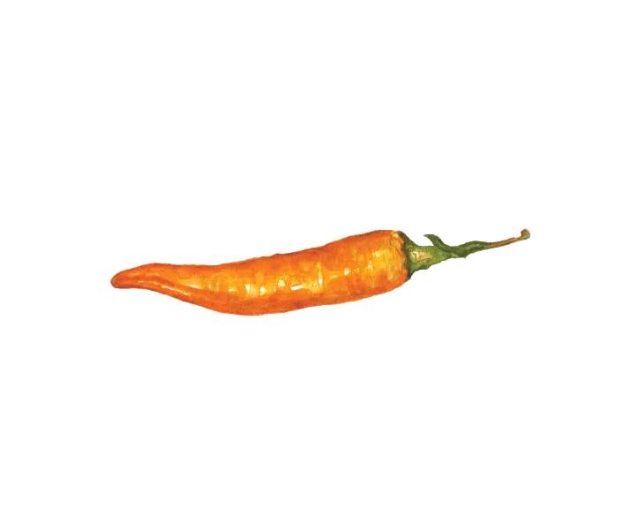 Mild spice